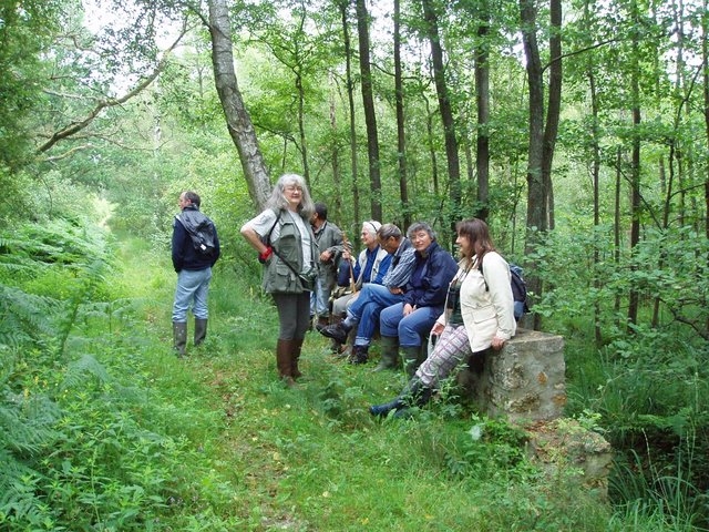 2007 07 Marais du Cerisaie 03